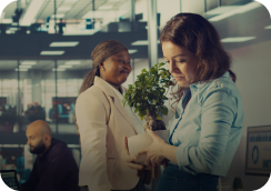 Environment Shiovhm Menu Image